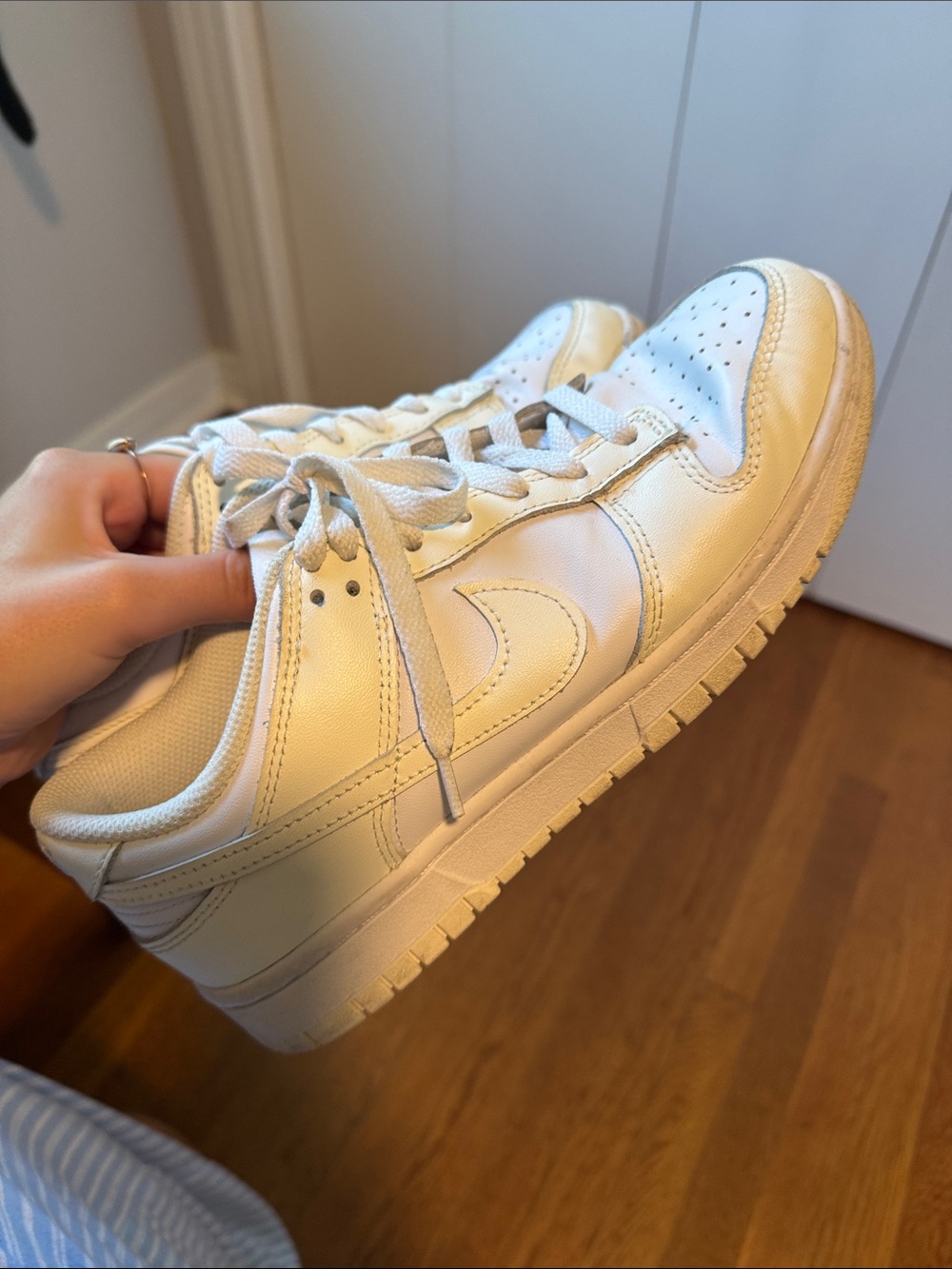 Nike Dunk Low Sneakers